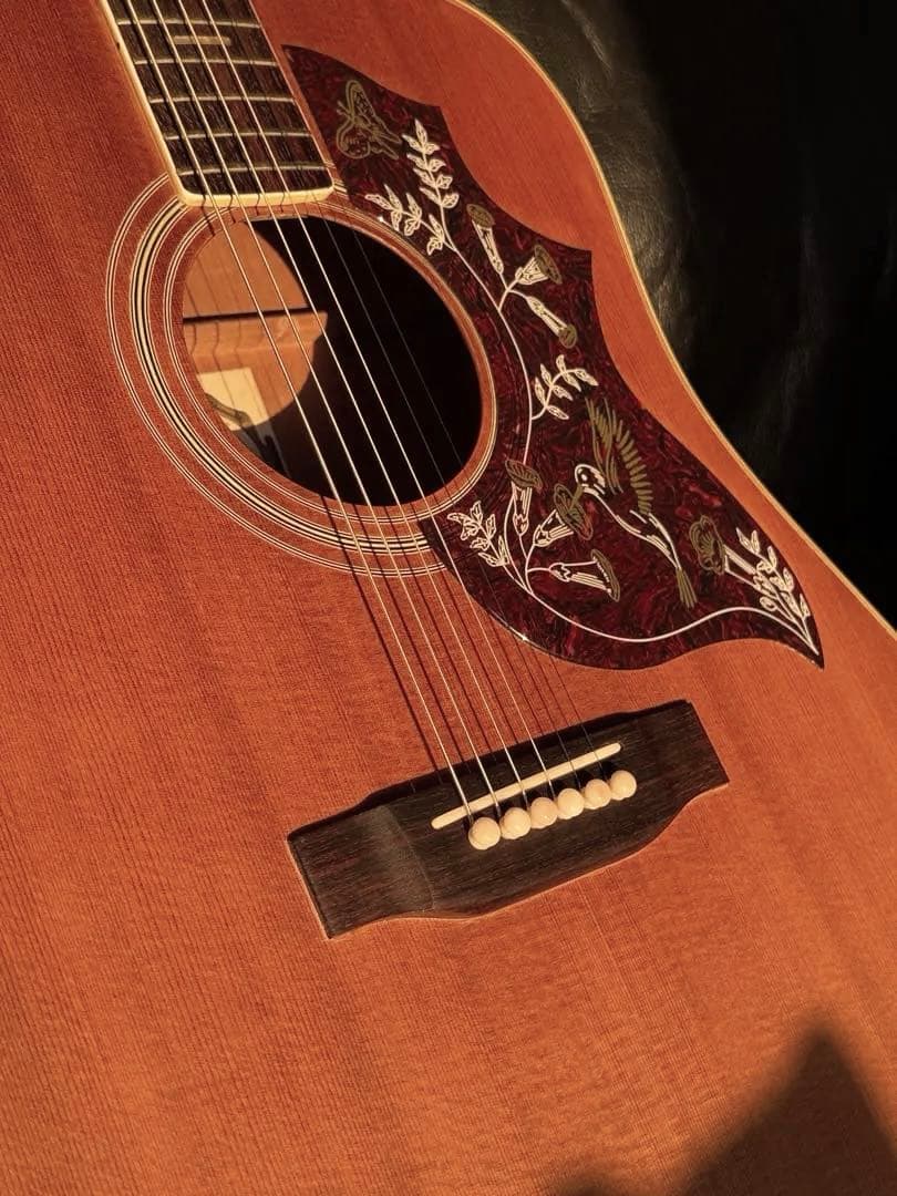 ARIA WH30 アコースティックギター