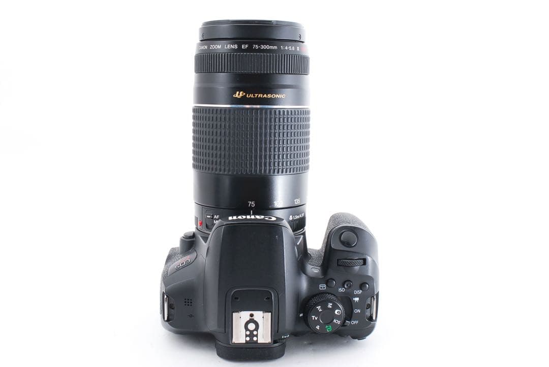 Wi-Fi/動画/保証canon kiss x10i標準&望遠ダブルレンズセット