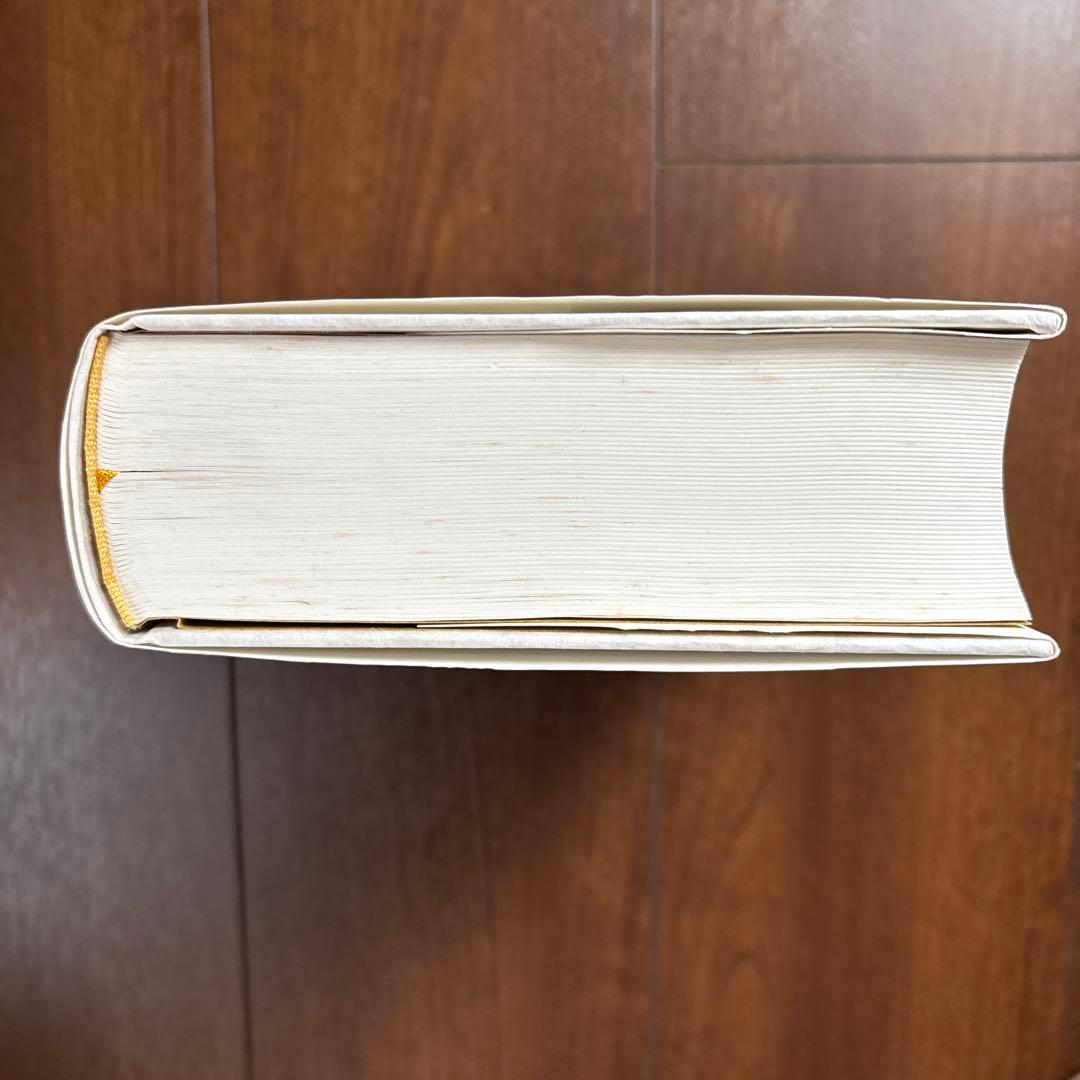 水野千依　イメージの地層 ルネサンスの図像文化における奇跡・分身・予言