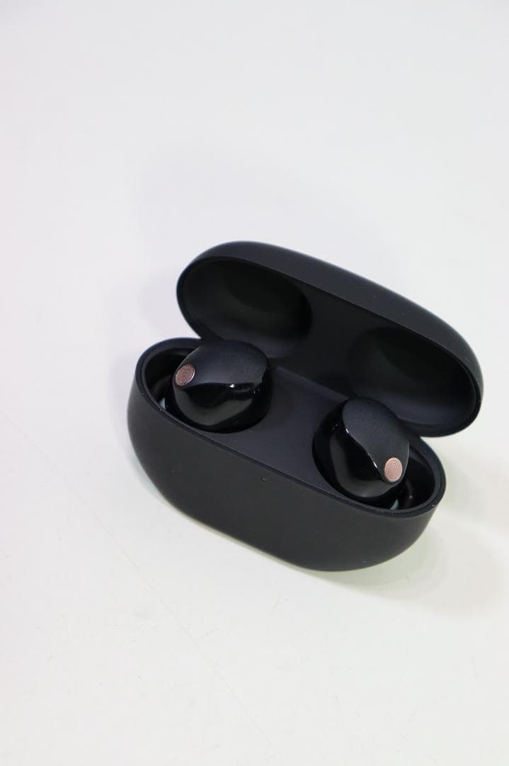 SONY ソニー WF-1000XM5 Bluetooth イヤフォン イヤホン