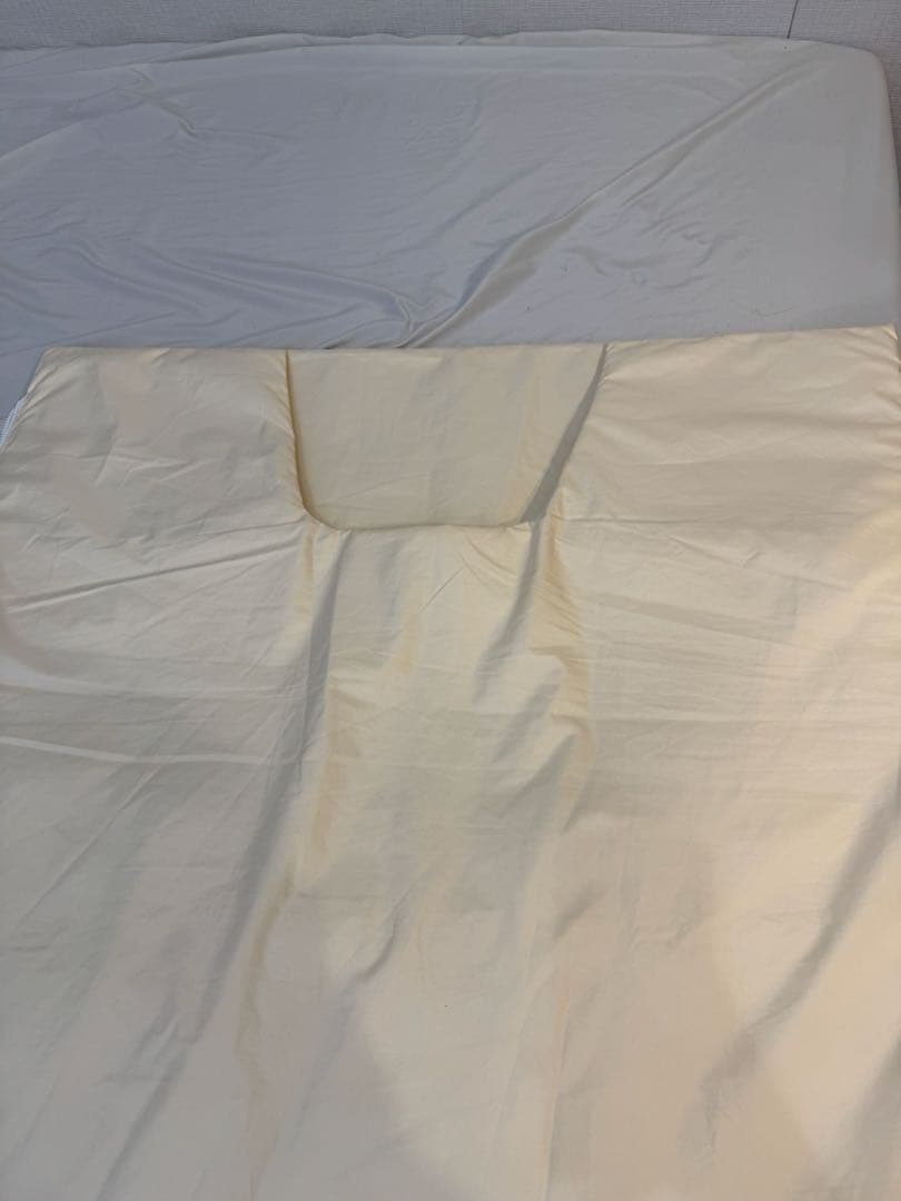 パルティール シュアラインα ヒート　ダイエット　岩盤浴　ヒートマット　エステ