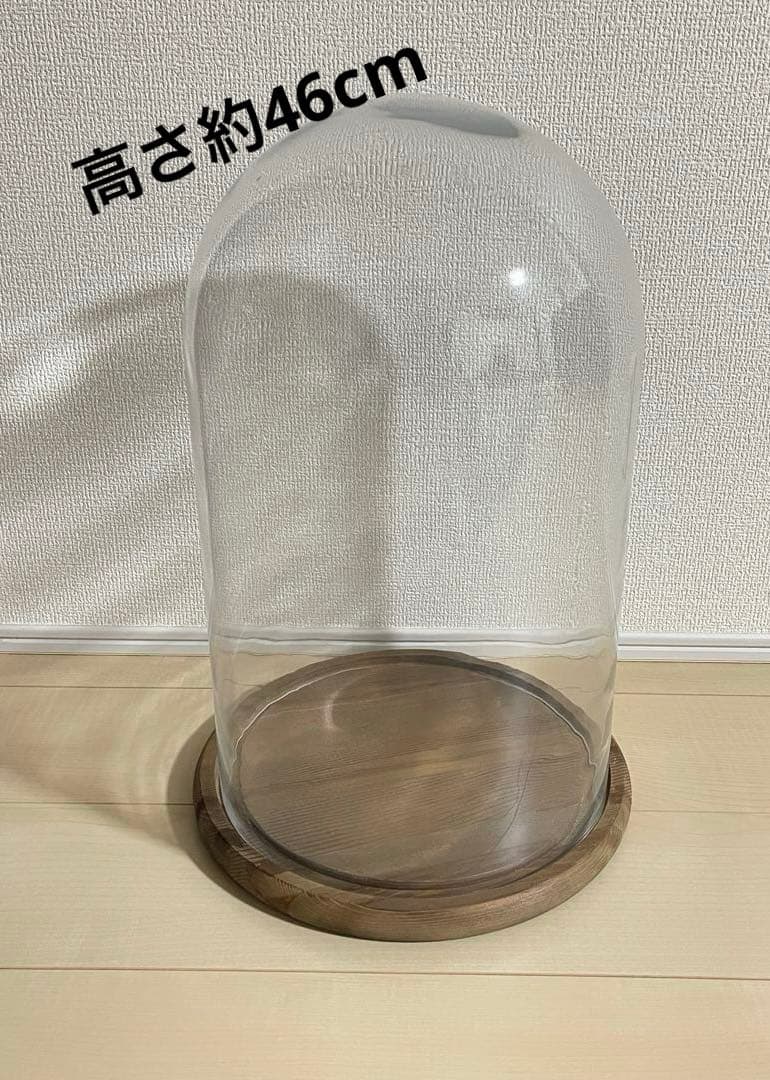 希少　DULTON ダルトングラスドーム ウッドトレイガラスドーム