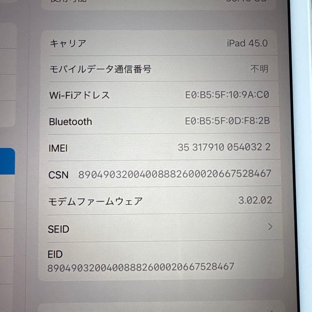 iPad mini5 セルラー 64GB SIMフリー(58)
