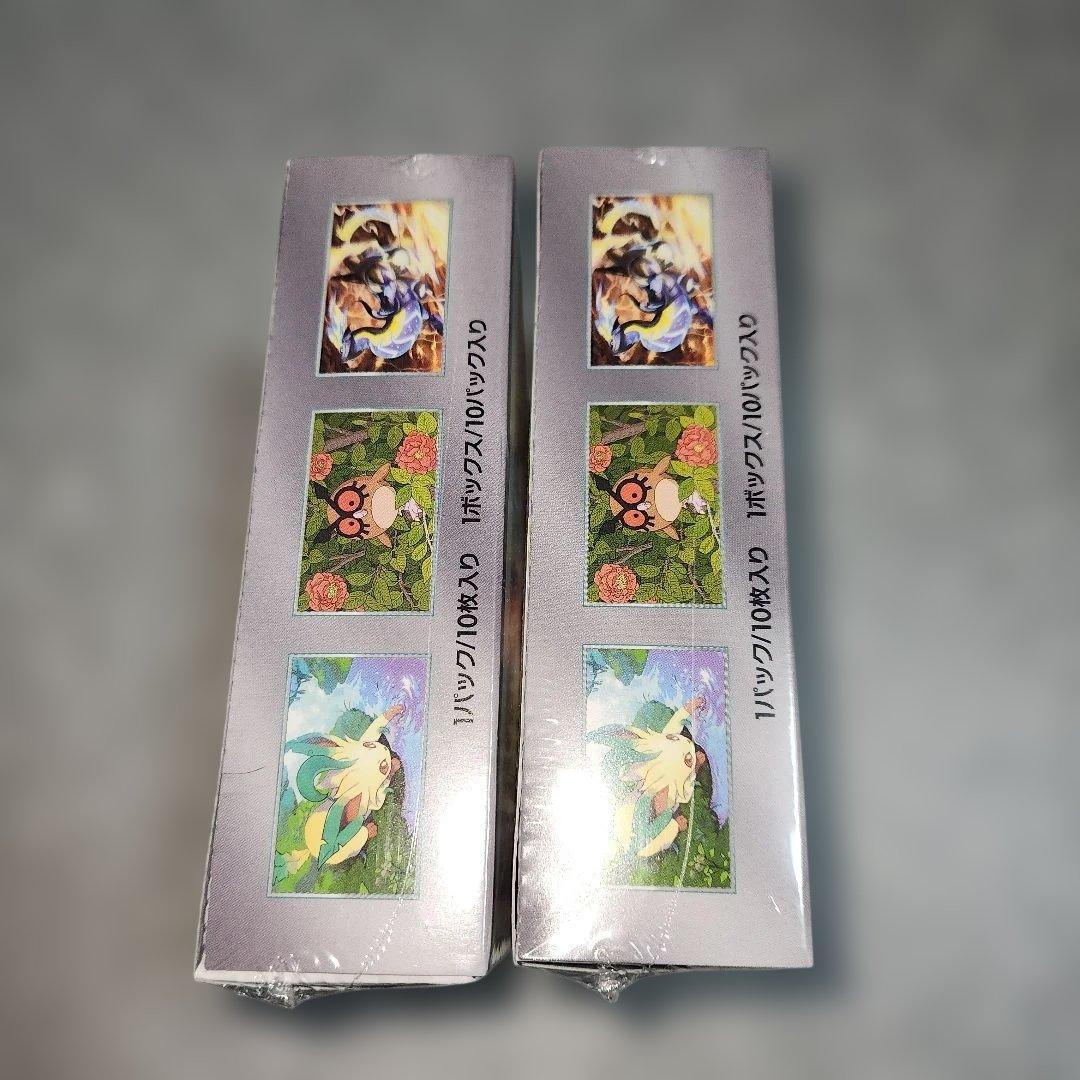 ポケモンカード　テラスタルフェスex　2BOX