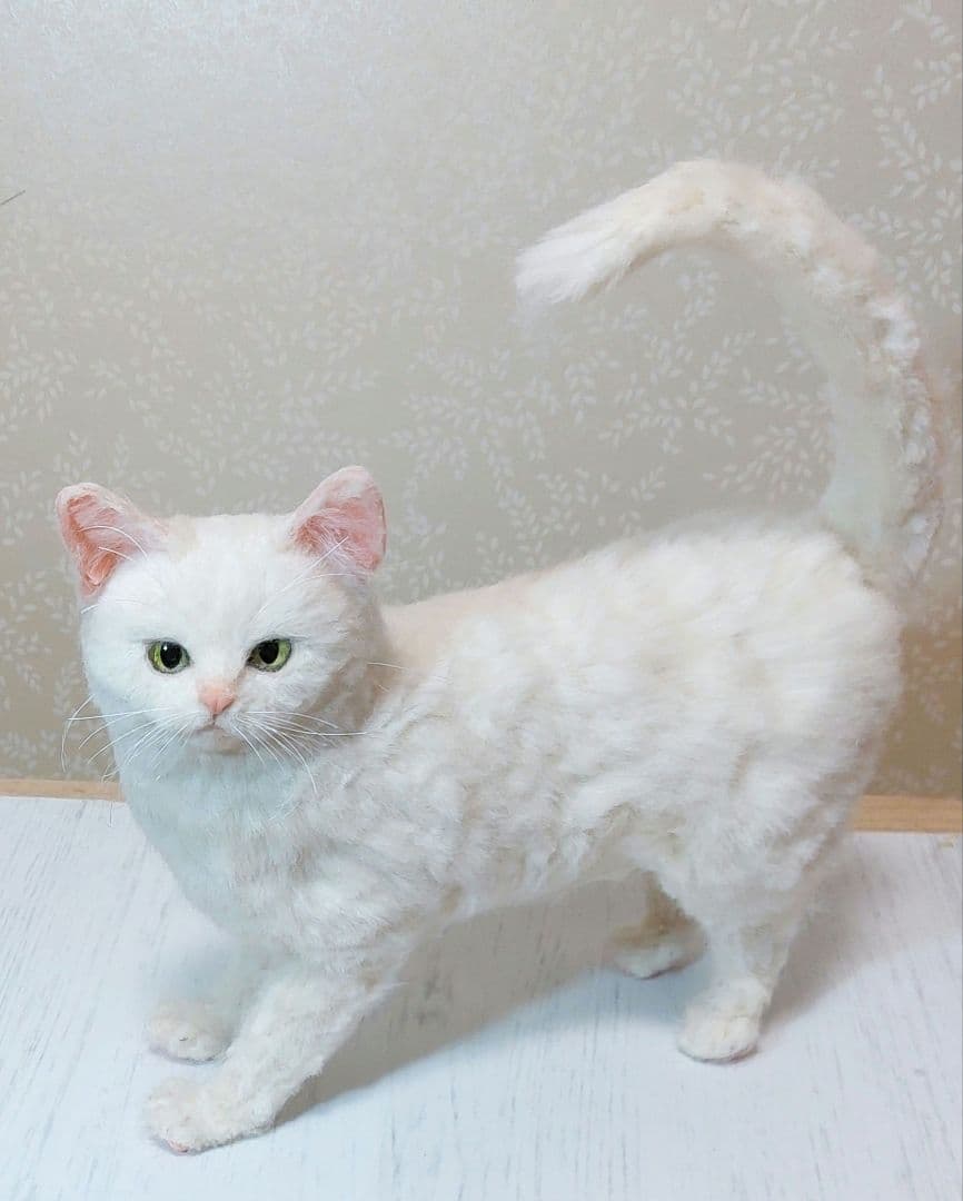 羊毛フェルト　猫