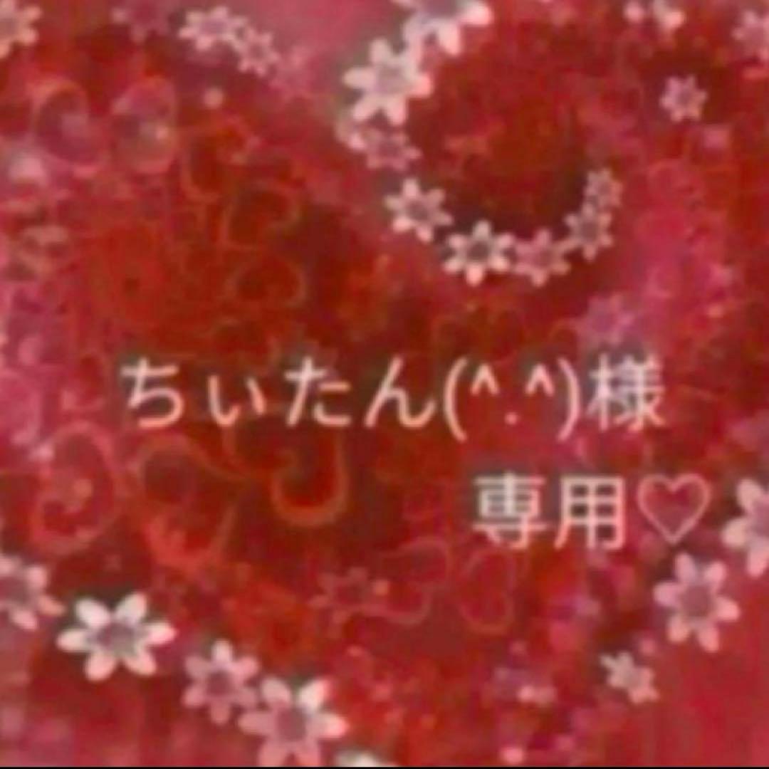 ちぃたん様⭐️専用