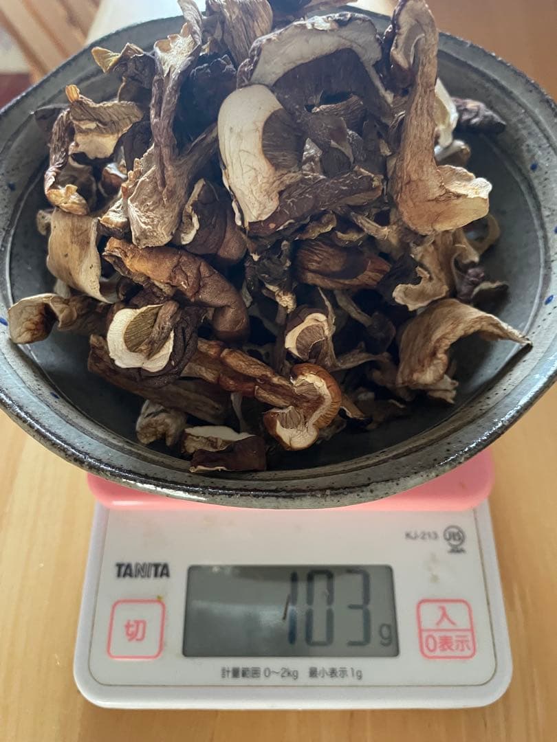 乾燥ポルチーニ 100g×5袋