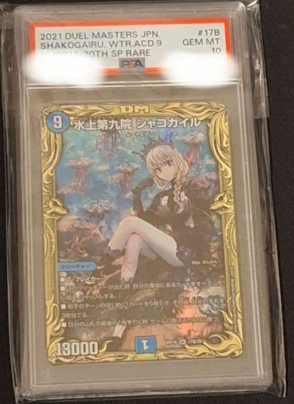 水上第九院シャコガイルB psa10