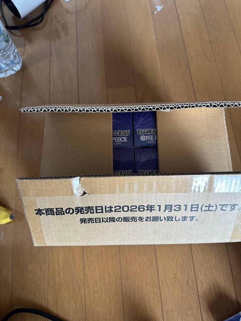 ワンピースカード　エッグヘッド　クライシス　EB04 1カートン