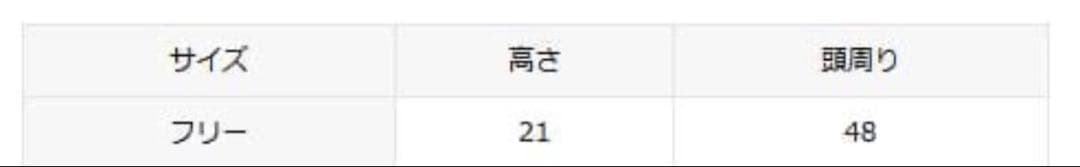 SOL/soonerorlater PLAID REVERSIBLE ビーニー