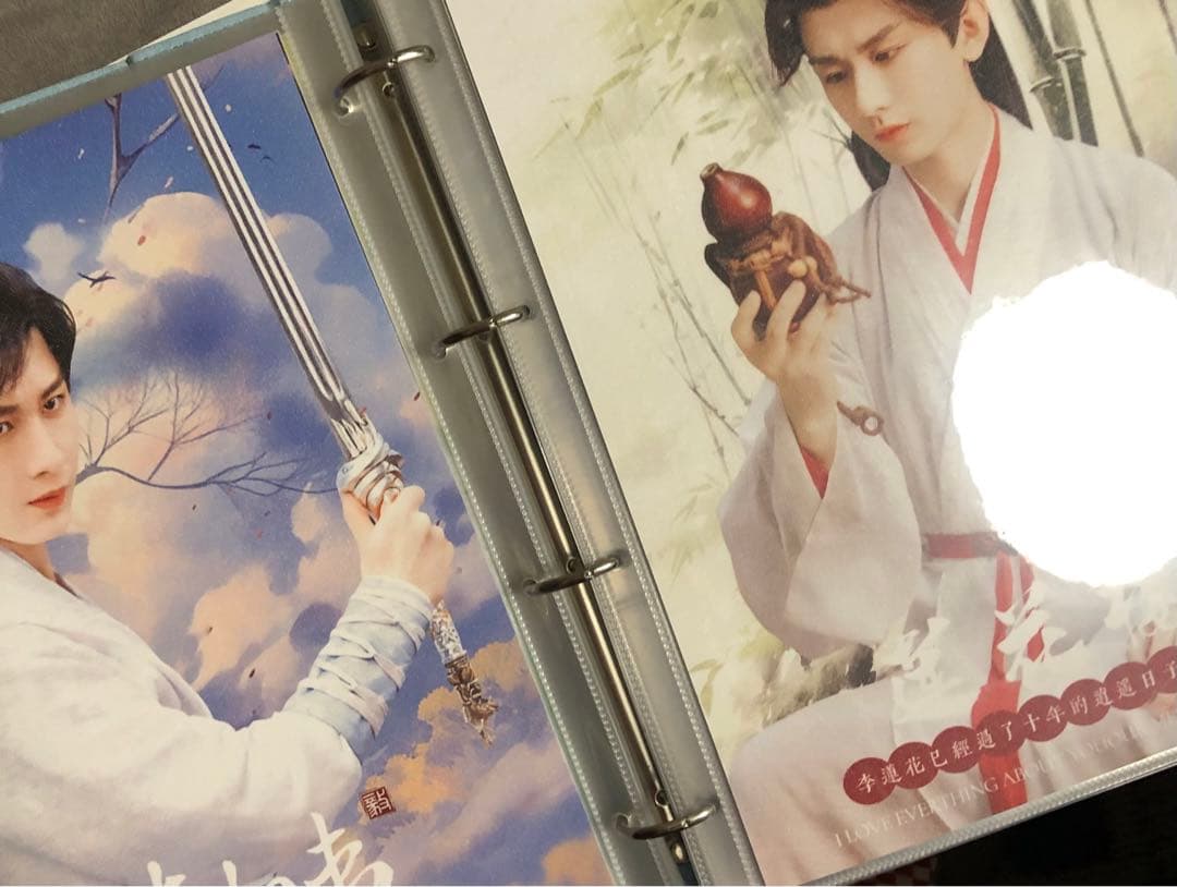 成毅 チョンイー A4ポスターアルバム バインダー ファイル A4カード50枚入