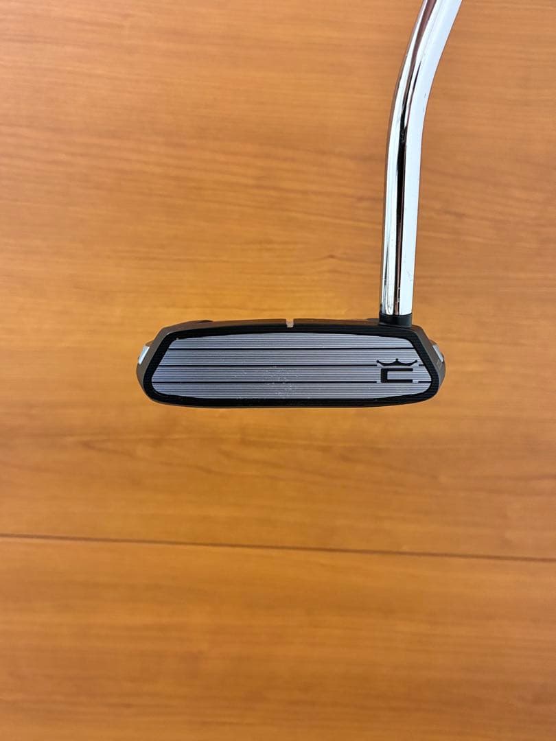 クラブ Cobra KING 3D PRINTED PT SUPERNOVA SB