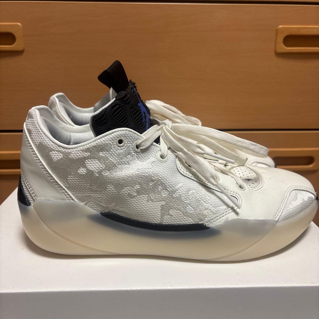 AIR JORDAN TYPE39　27cm