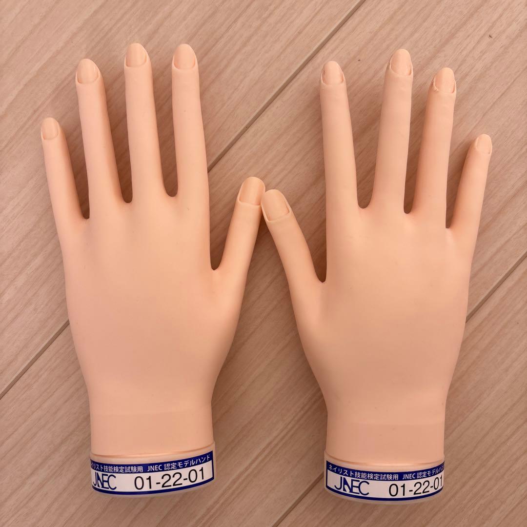 認定ハンドモデル　両手セット　JNEC