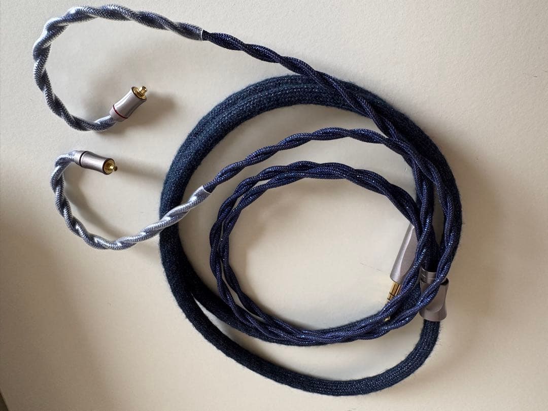 イッシー専用　XELENTO remote 有線イヤホン