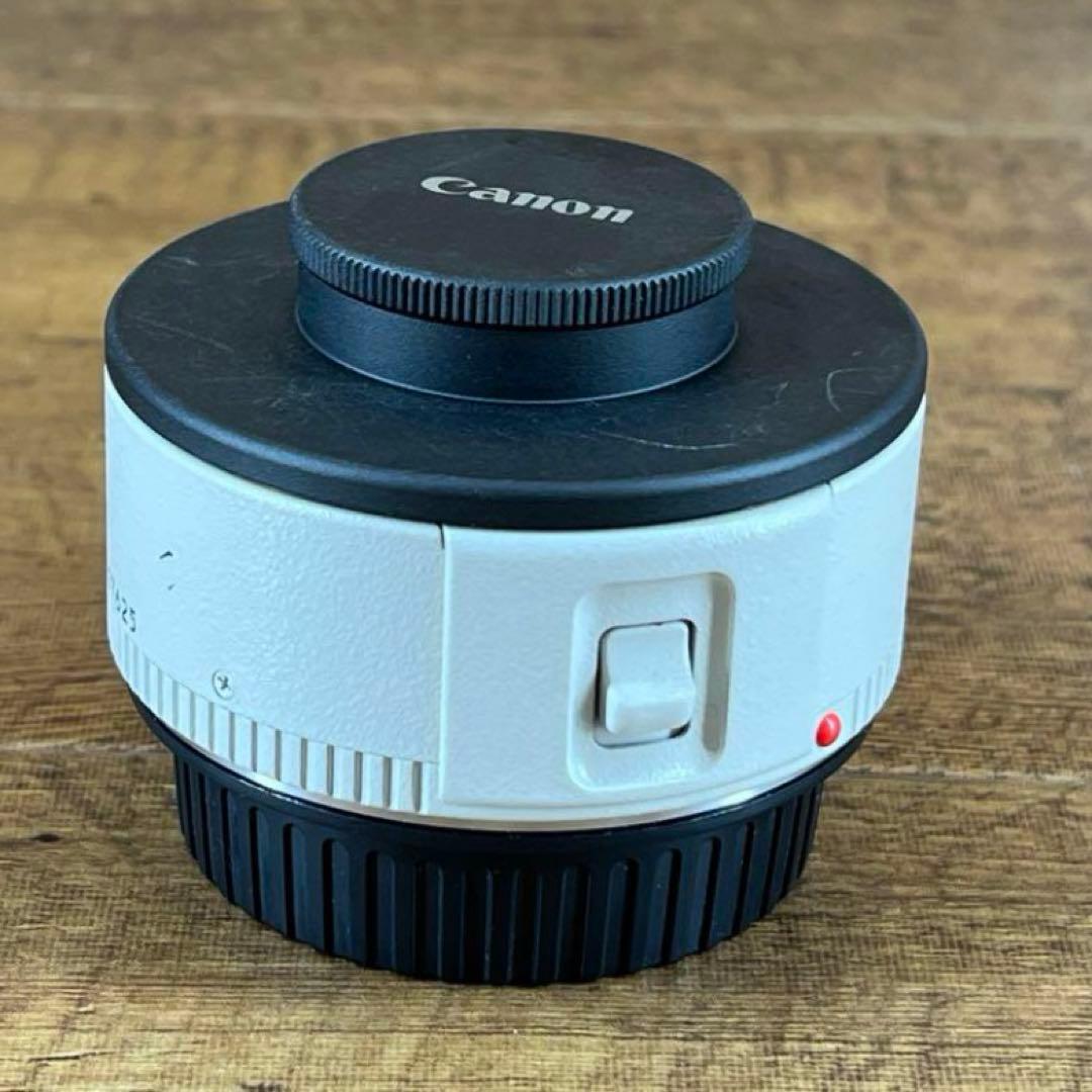 Canon EXTENDER キヤノン　エクステンダー　EF1.4× 17625