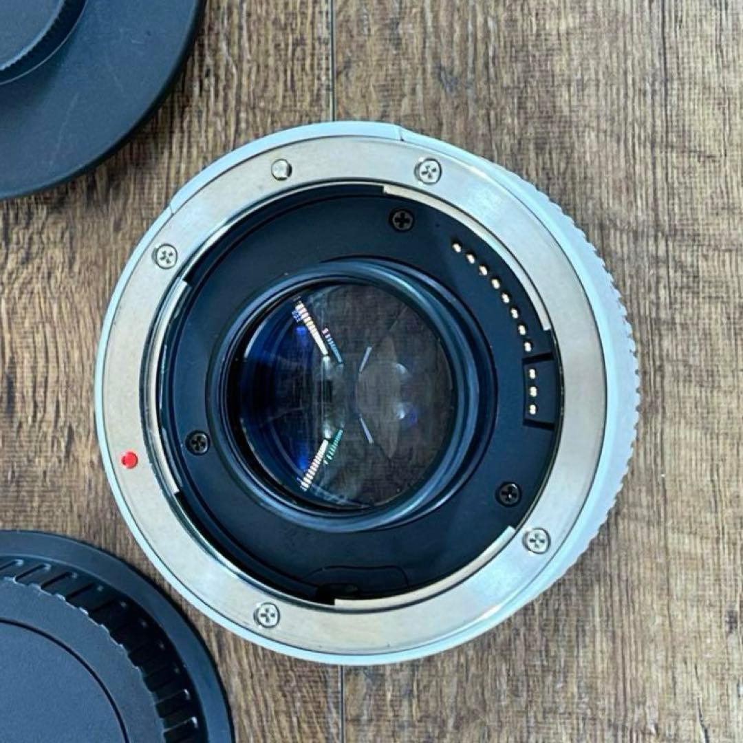 Canon EXTENDER キヤノン　エクステンダー　EF1.4× 17625