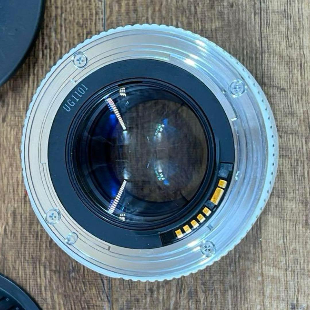 Canon EXTENDER キヤノン　エクステンダー　EF1.4× 17625