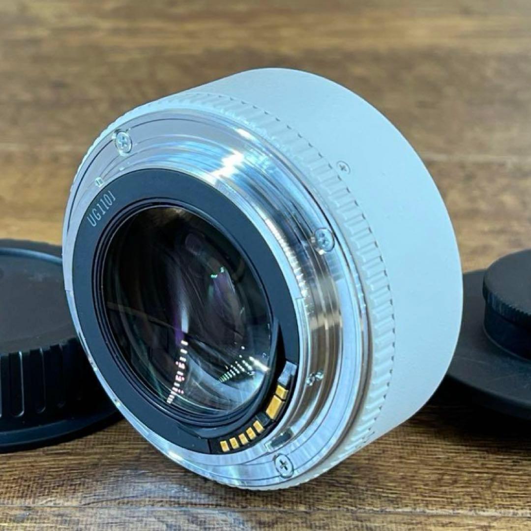 Canon EXTENDER キヤノン　エクステンダー　EF1.4× 17625