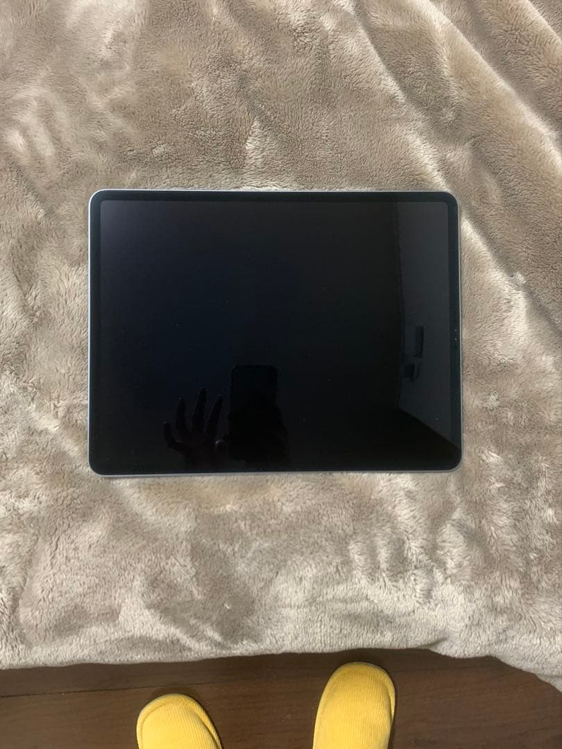 Apple iPad pro 第3世代 ペン+ペン先2個付き