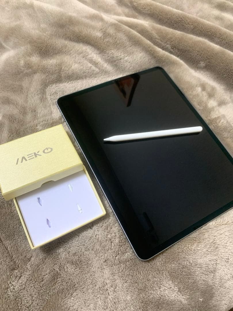 Apple iPad pro 第3世代 ペン+ペン先2個付き