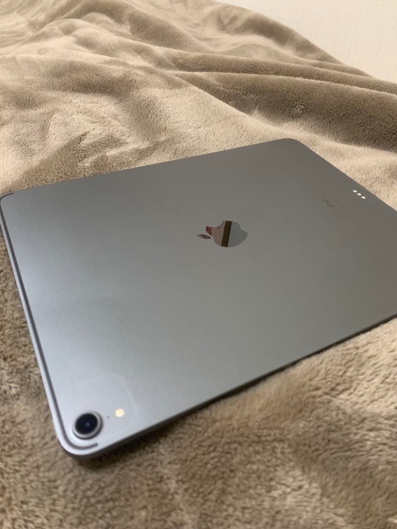 Apple iPad pro 第3世代 ペン+ペン先2個付き