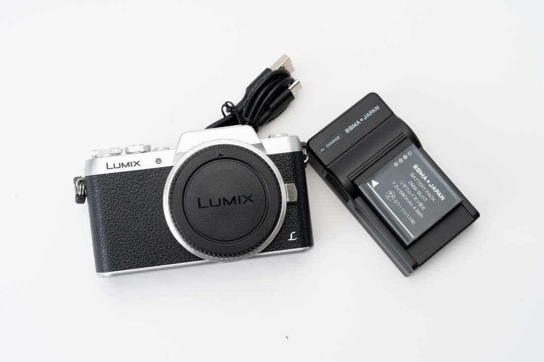 防湿庫保管 パナソニック LUMIX DMC-GF7 ボディ 保護フィルム
