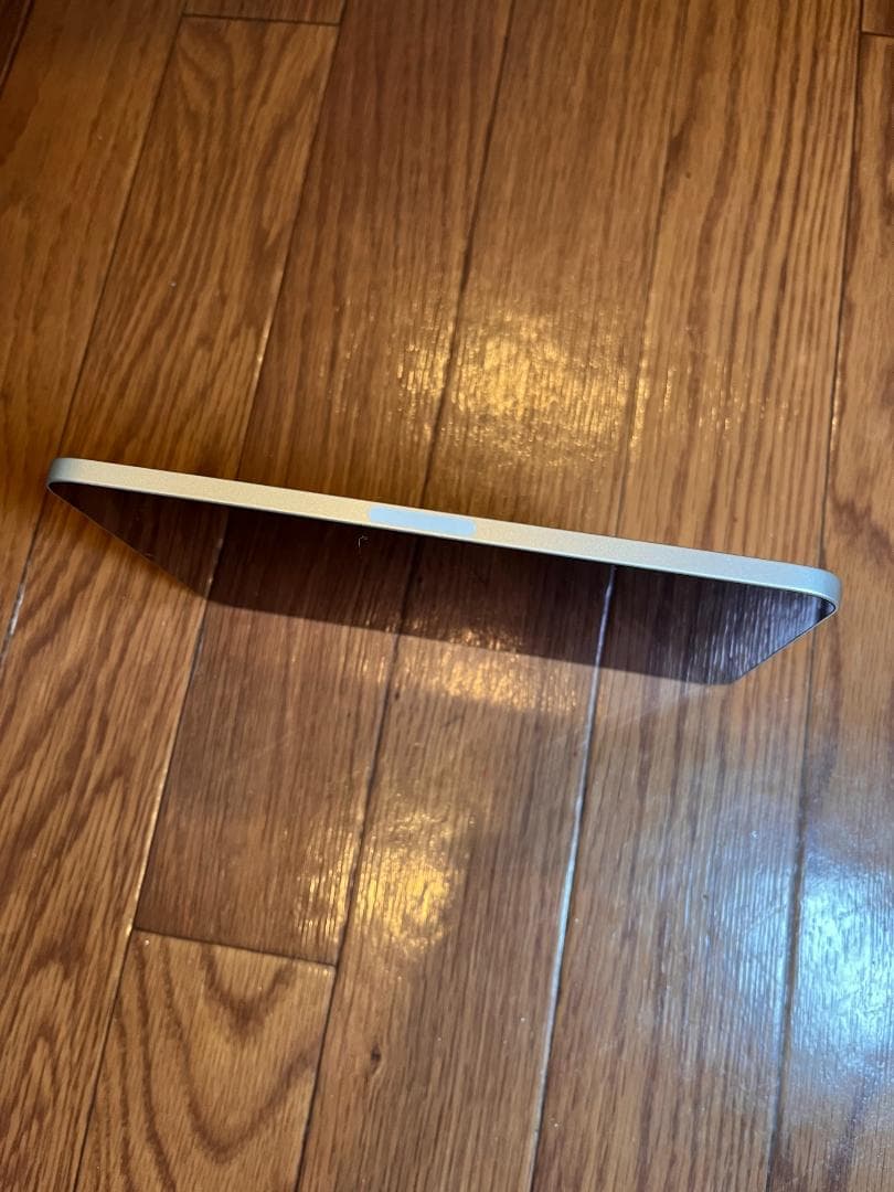 iPad mini6 256GB スターライト Apple Pencil付き