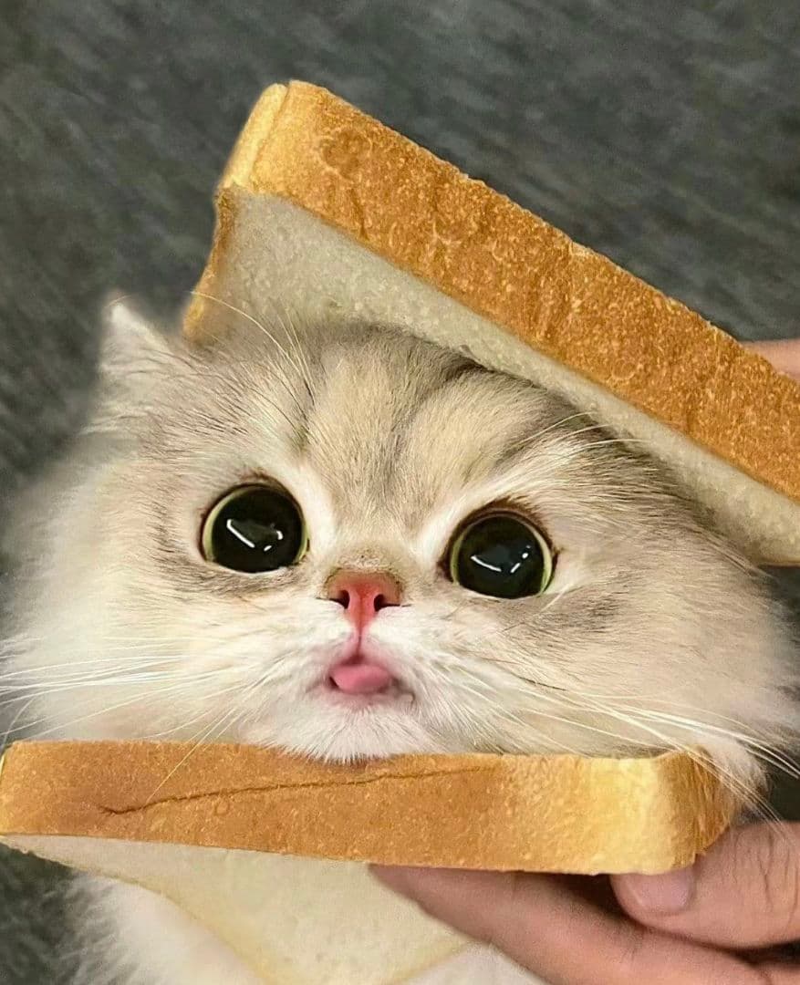 さとる様、専用ページ