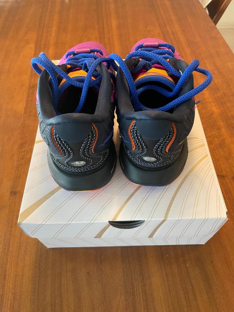 レブロン 21 SE　22cm