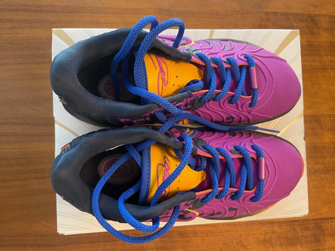 レブロン 21 SE　22cm