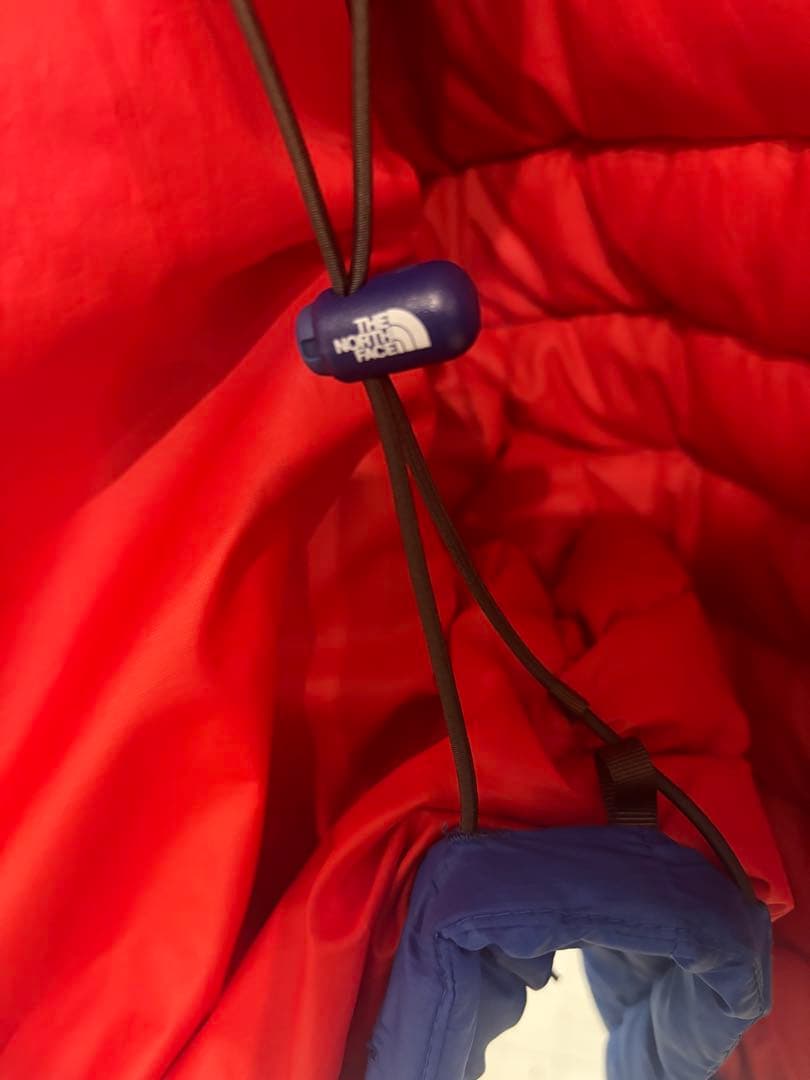 パタゴニア　ダウンセーターフーディー　L