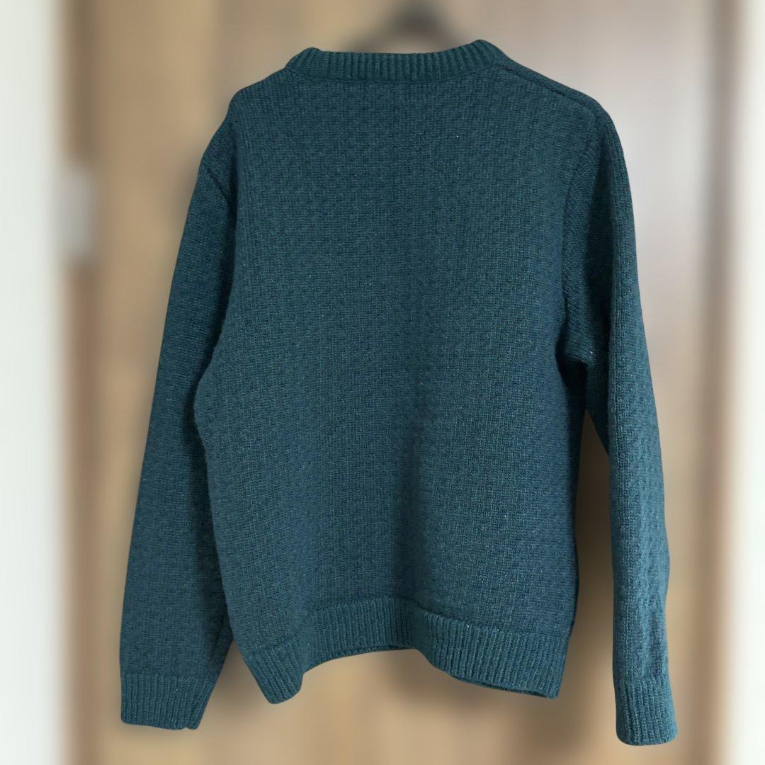 L.L Bean エルエルビーン バーズアイ ニット