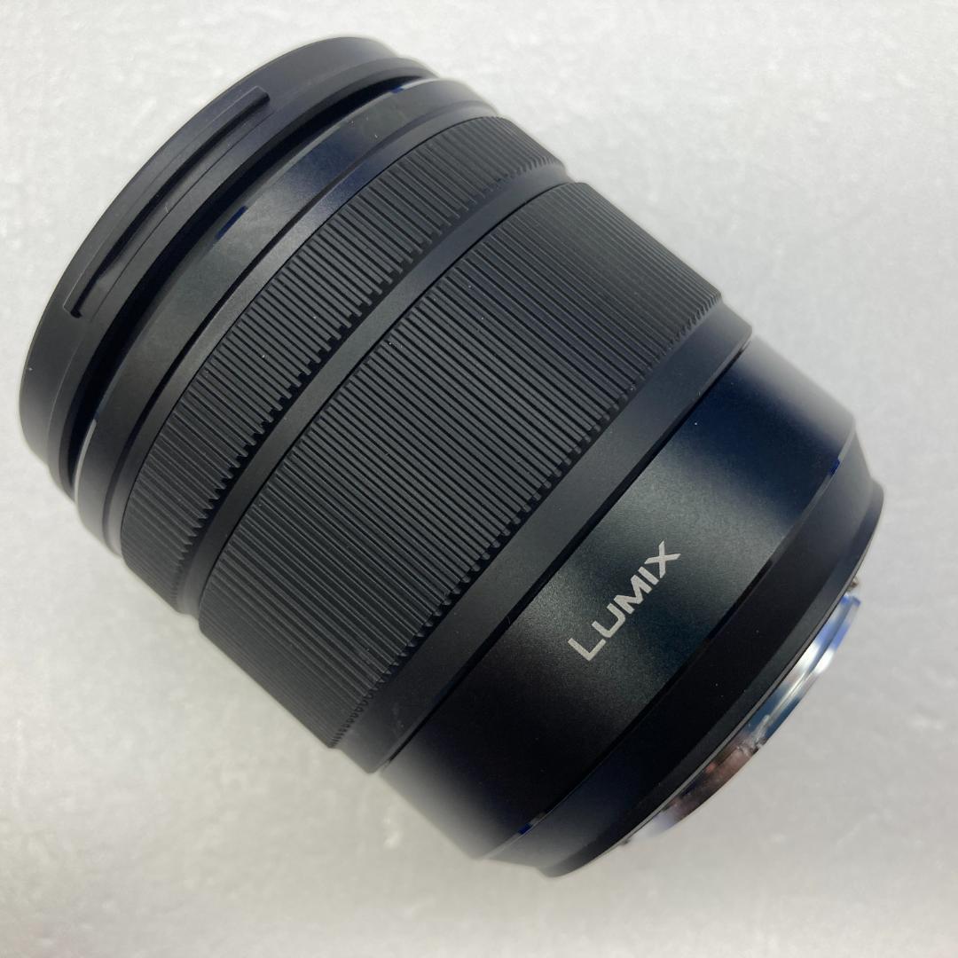 レンズ(ズーム) Panasonic LUMIX G VARIO 12-60mm F3.5-5.6