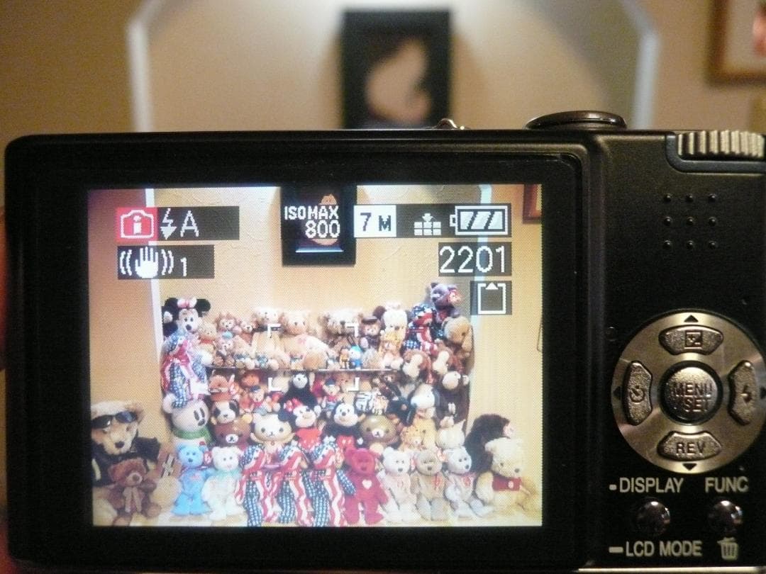 LUMIX★DMC-FX30⚠️必読有⭕️安心の実働品❤️お嬢様カメラの定番機種