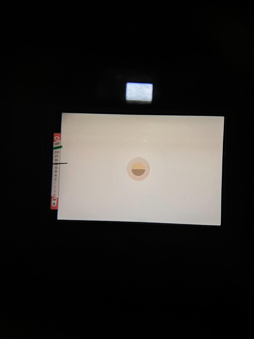 超美品　NIKON FE シルバー フィルムカメラ　モルト新品交換済 B876