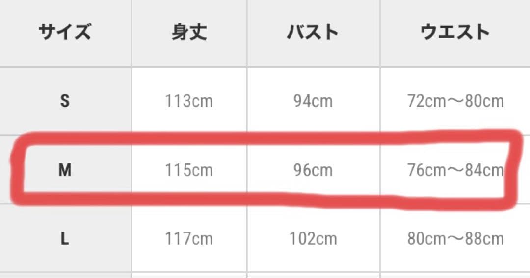 haremode 刺繍レース　バックリボン　ドレス シルバー　M