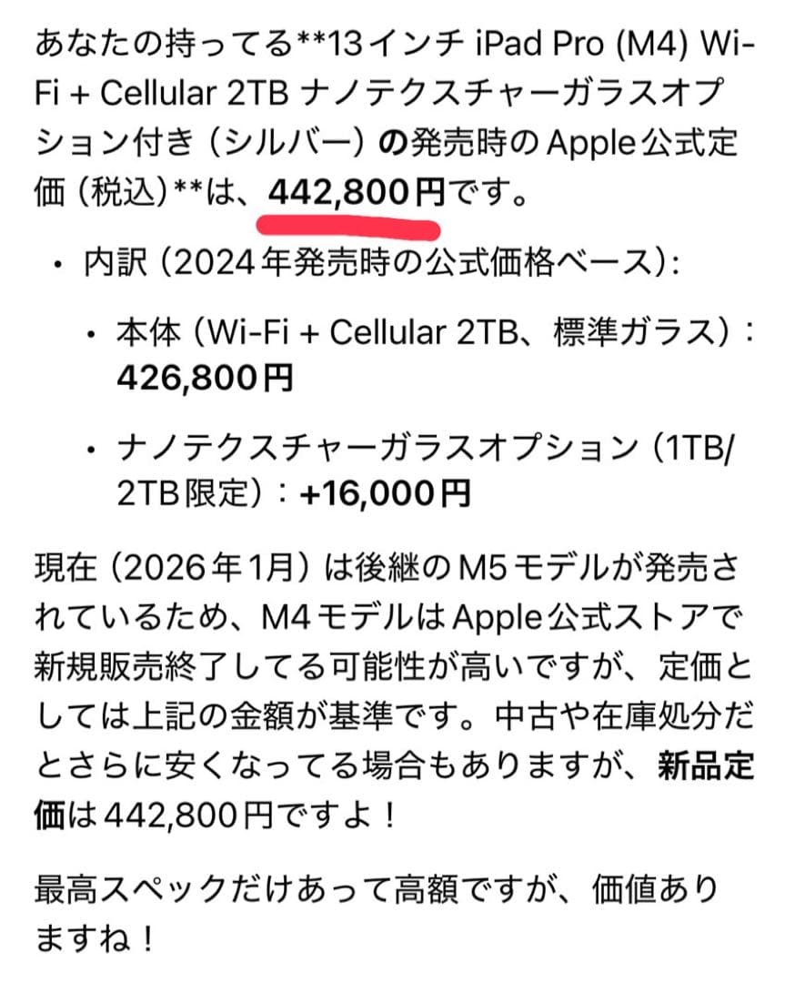 iPad Pro m4 2TB 13インチ 新品未使用 NTガラス