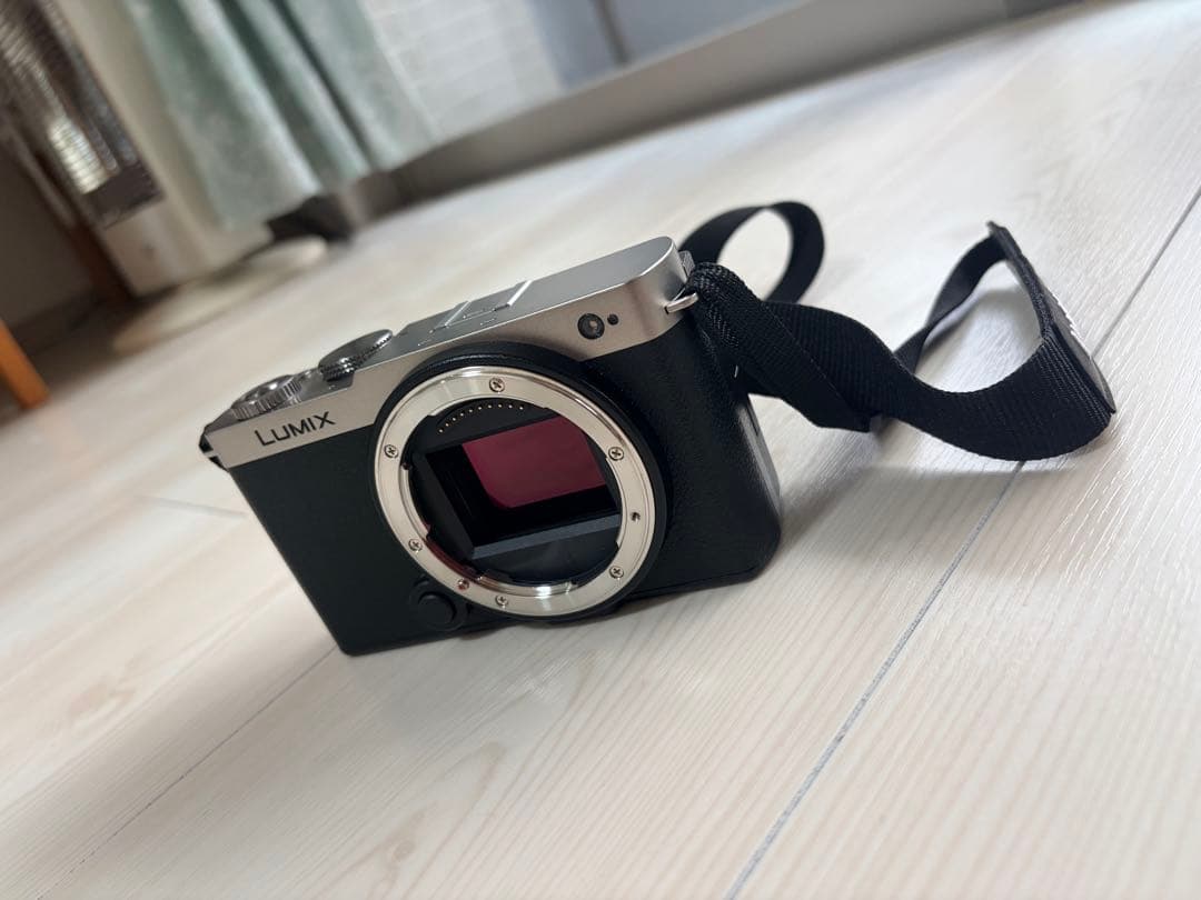 LUMIX S9 ミラーレス一眼カメラ 50mmレンズ付き