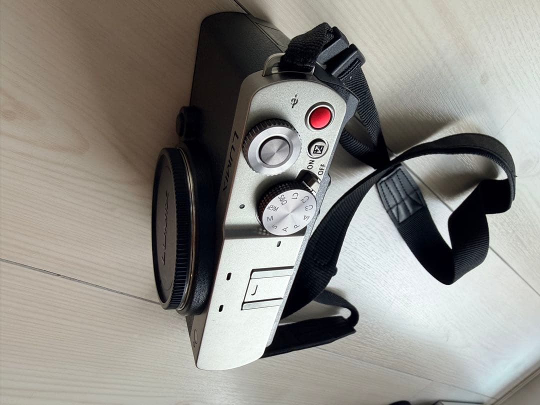 LUMIX S9 ミラーレス一眼カメラ 50mmレンズ付き