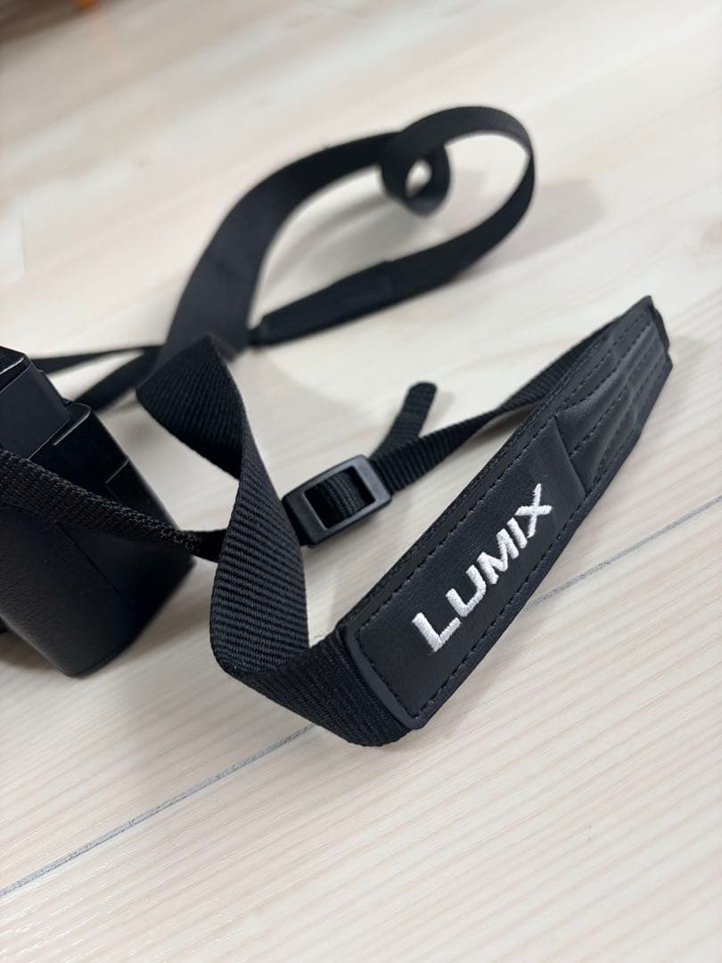 LUMIX S9 ミラーレス一眼カメラ 50mmレンズ付き