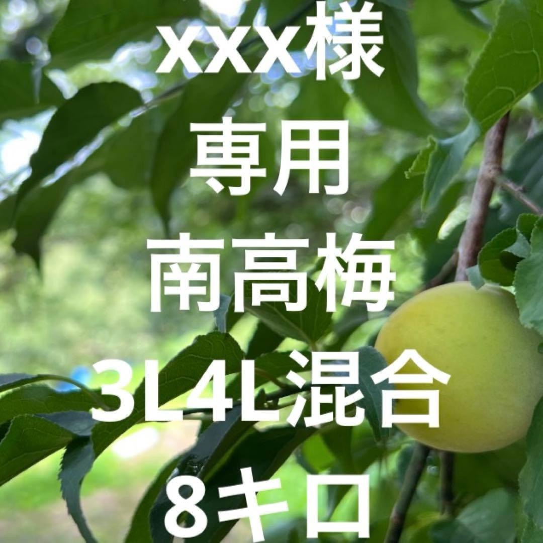 xxx南高梅3L4L混合8キロ