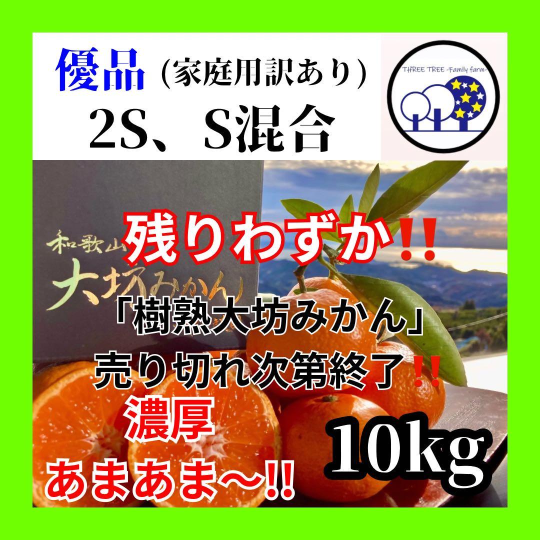①温州みかん 樹熟大坊みかん 優品(家庭用傷あり)2S、S、10kg