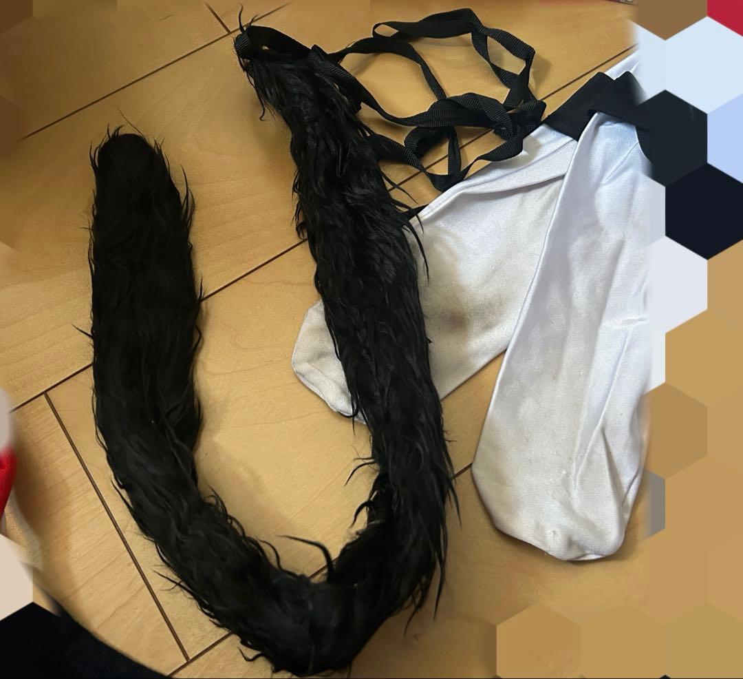 大神ミオ コスプレ衣装