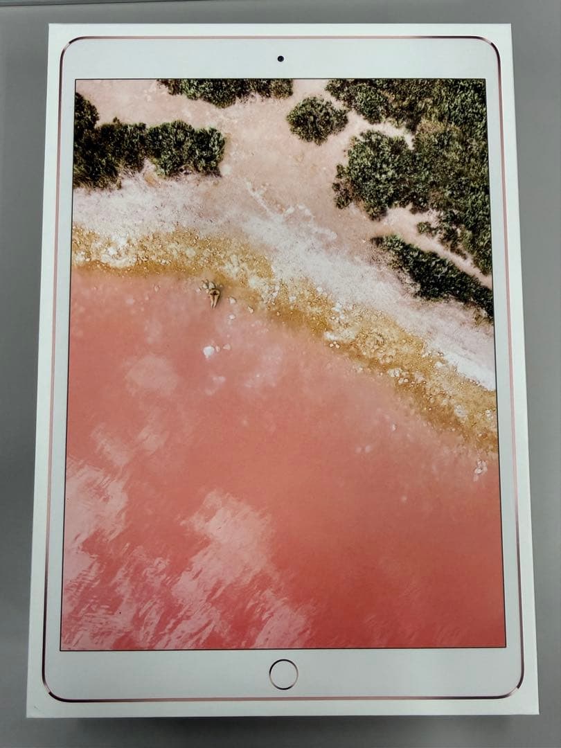 Apple iPad Pro 10.5インチ WiFi＋Apple Pencil