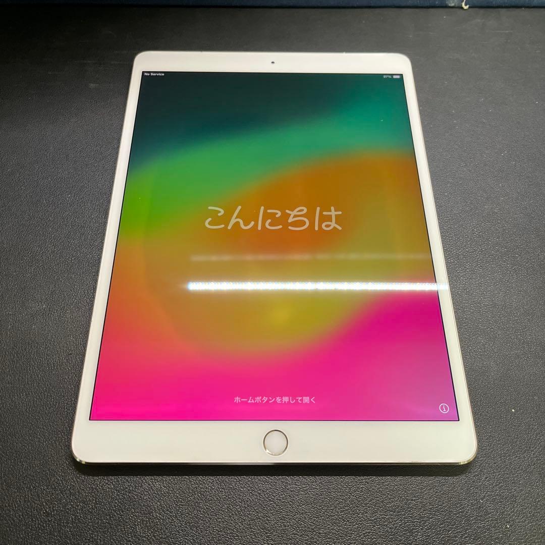 Apple iPad 10.5 &applePencil第一世代&充電台