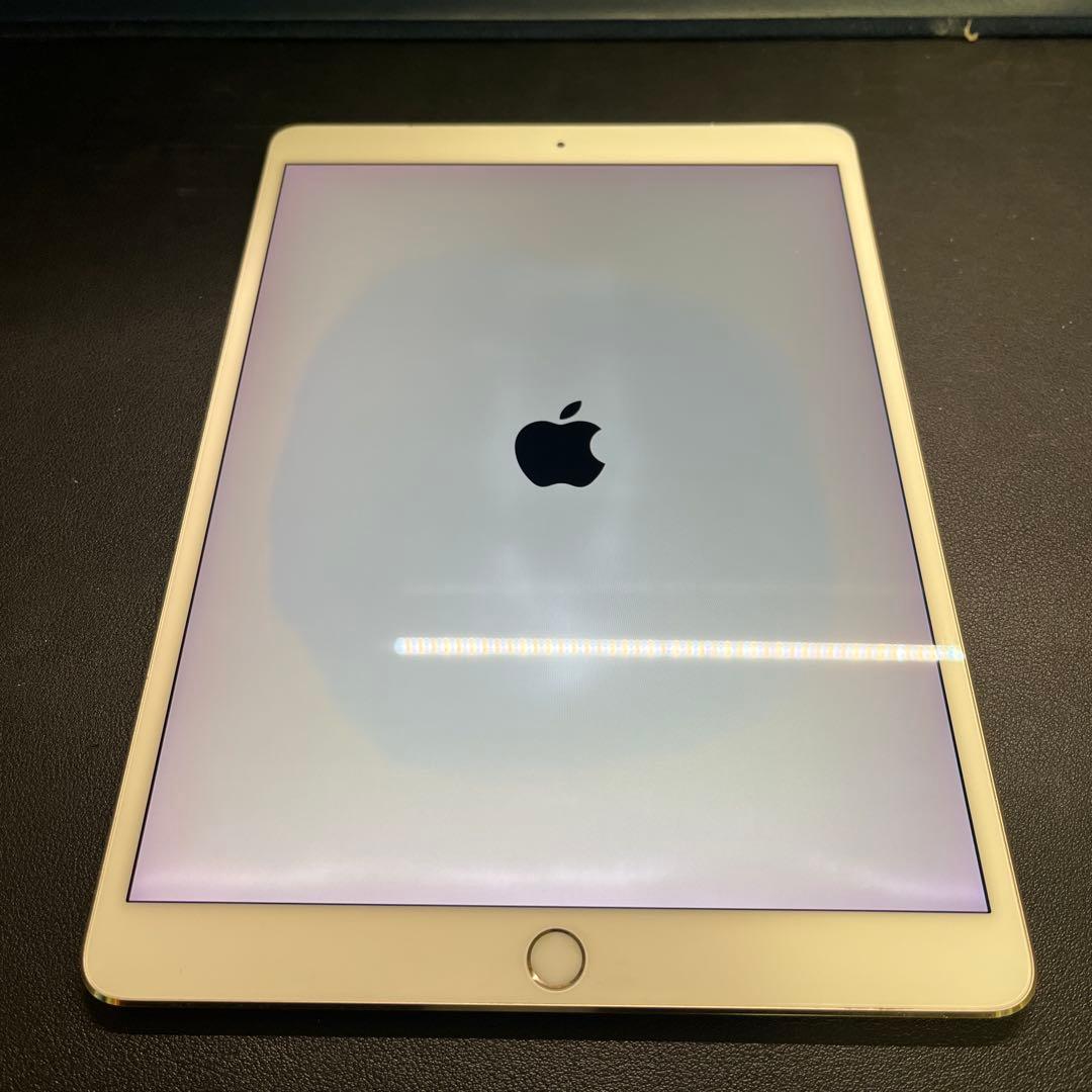 Apple iPad 10.5 &applePencil第一世代&充電台