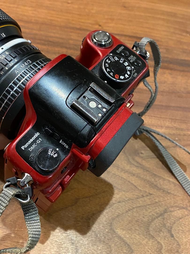 LUMIX G1 ミラーレス一眼　ニコンシリーズE 70-210 動作品　望遠