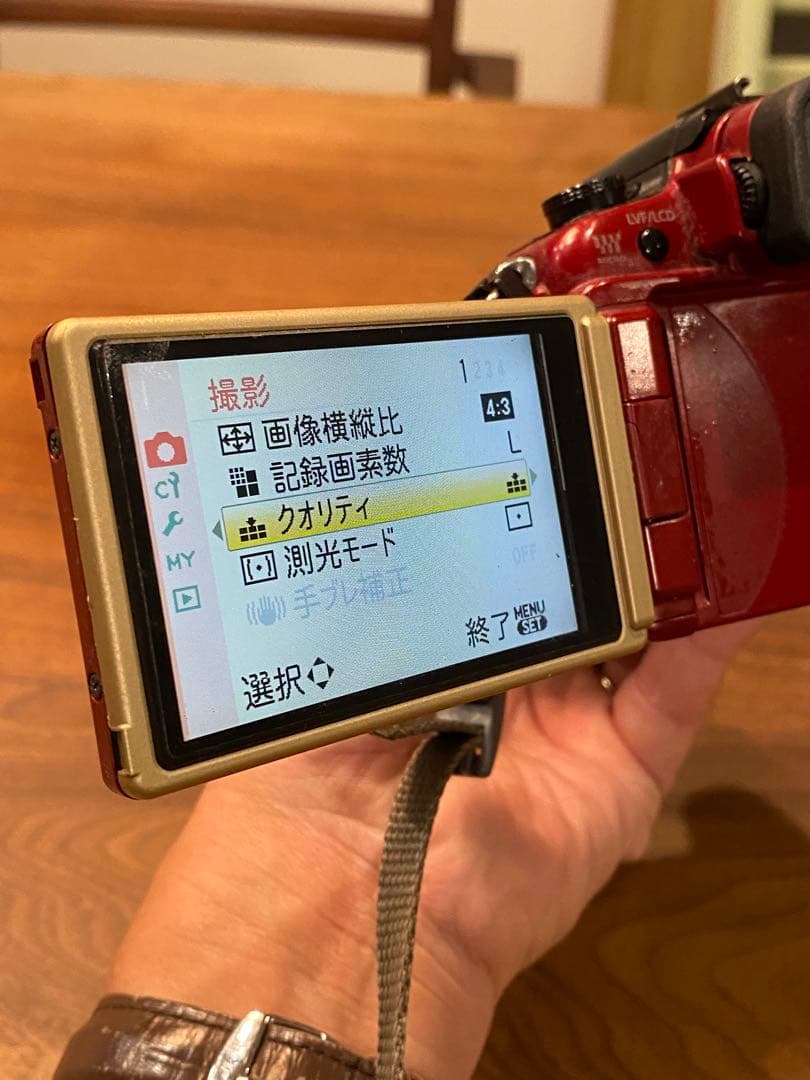 LUMIX G1 ミラーレス一眼　ニコンシリーズE 70-210 動作品　望遠