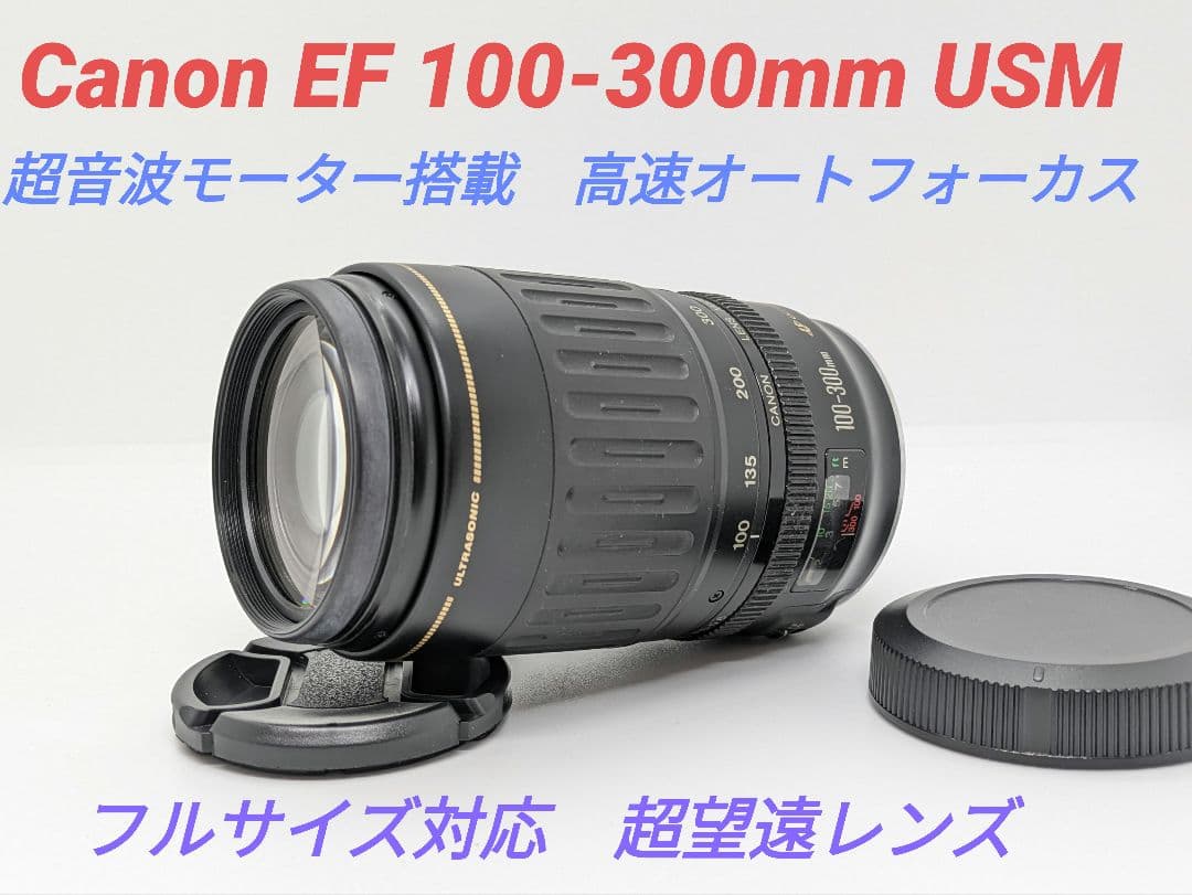 10月26日限定価格♪Canon EF 100-300mm USM